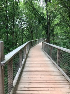 2018-05-20 13.57.33 IMG_6895.jpg