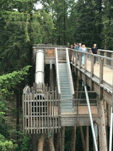 2018-05-20 14.01.02 IMG_6898.jpg